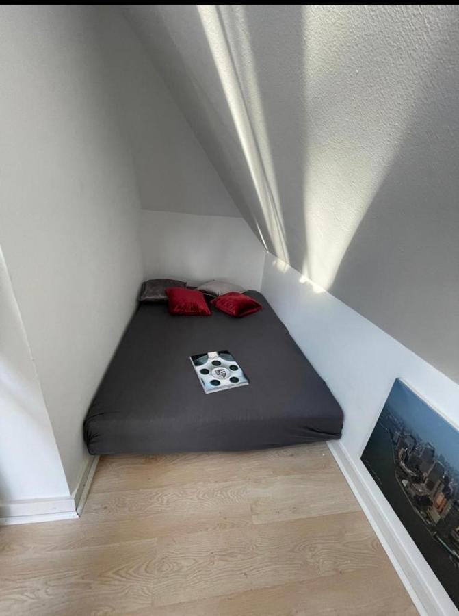 杜塞尔多夫Luxury Rooftop Loft With River View 10Min To City公寓 外观 照片