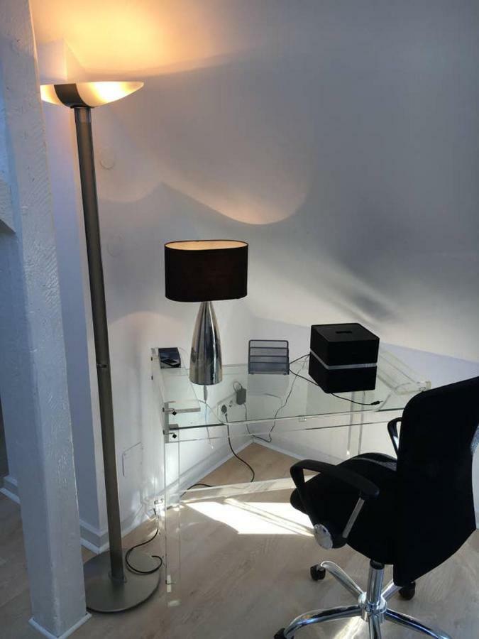 杜塞尔多夫Luxury Rooftop Loft With River View 10Min To City公寓 外观 照片
